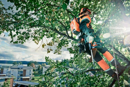 Аккумуляторная цепная пила для работы на вышке HUSQVARNA T536Li-14" 9667292-14