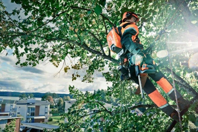 Аккумуляторная цепная пила для работы на вышке HUSQVARNA T536Li-14&amp;quot; 9667292-14