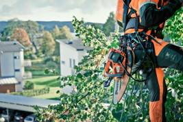 Аккумуляторная цепная пила для работы на вышке HUSQVARNA T536Li-14" 9667292-14
