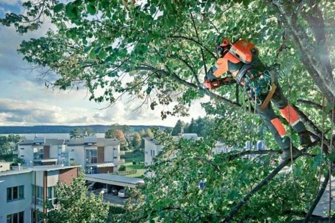 Аккумуляторная цепная пила для работы на вышке HUSQVARNA T536Li-14&amp;quot; 9667292-14