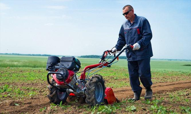 Мотоблок Мобил К G-85 без диф. Kohler CH 395