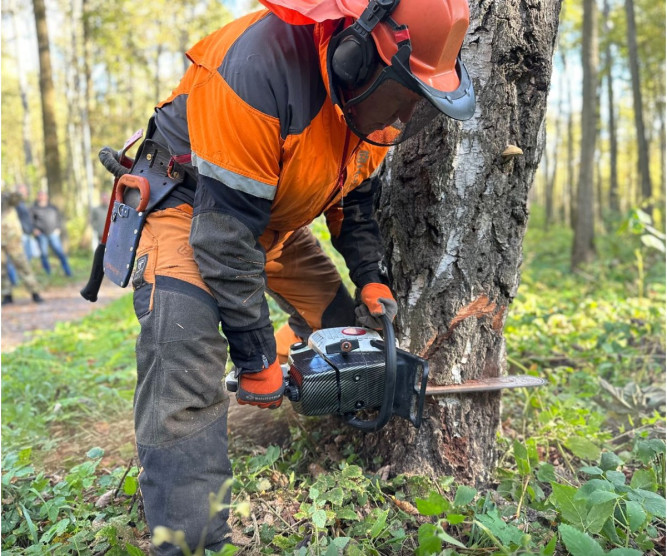 Бензопила ZimAni VS361 (сборка Вячеслав РС) в Екатеринбурге