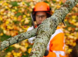 Высоторез HUSQVARNA 525P5S 9673295-01