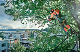 Аккумуляторная цепная пила HUSQVARNA 436 Li-12" 9667290-12