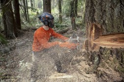 Бензопила Husqvarna 585 New