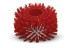 Дисковая щетка 170мм средняя красная для влажной уборки углов Karcher 6.994-127.0