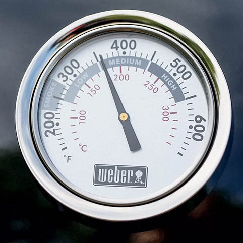 SUMMIT CHARCOAL GRILL CENTER