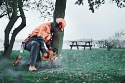 Бензопила Husqvarna 545 15&amp;quot;