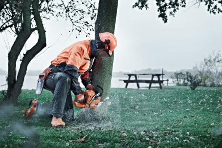 Бензопила Husqvarna 545 15"