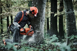 Бензопила Husqvarna 545 15"