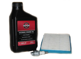 Набор для техобслуживания двигателя B&amp;S Quantum