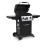 Газовый гриль Broil King ROYAL 340