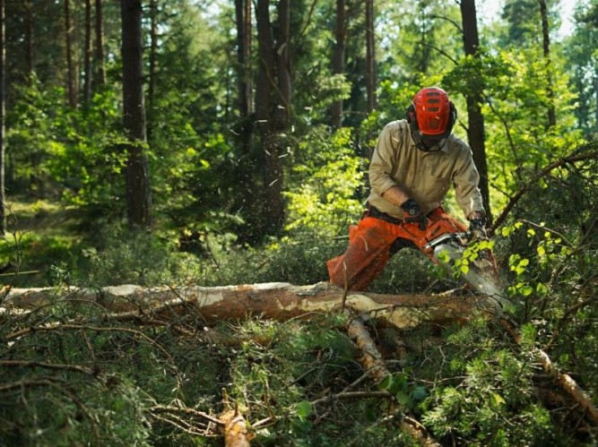 Бензопила Husqvarna 576 XP 18&amp;quot; 9651754-18