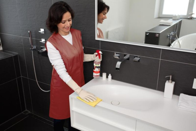 Профессиональное чистящее средство санитарное CA 20 R, 0,5л Karcher 6.295-685.0