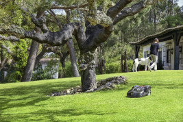 Газонокосилка-робот Husqvarna Automower 440