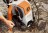 Мойка высокого давления STIHL RE 130 PLUS