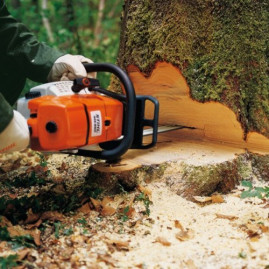 Бензопила STIHL MS 661 20" 11442000003