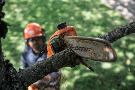 Аккумуляторная цепная пила - высоторез Husqvarna 115iPT4 без АКБ и ЗУ