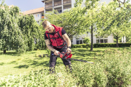 Кусторез аккумуляторный solo by AL-KO HT 4245