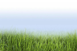 Дождеватель импульсный PS 300 Karcher 2.645-023.0