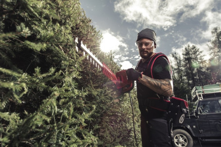 Кусторез аккумуляторный solo by AL-KO HT 4260