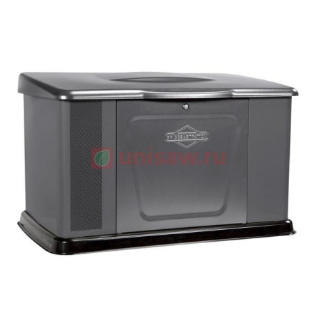 Генератор газовый Briggs &amp; Stratton 14000