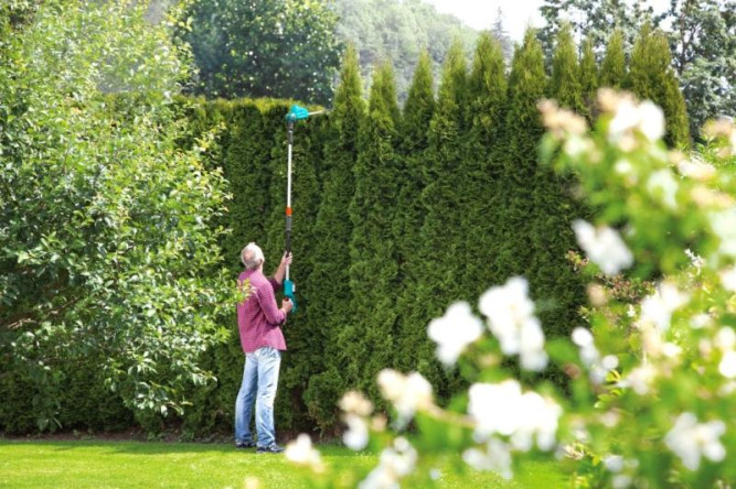 Аккумуляторные ножницы телескопические GARDENA THS Li-18/42 08881