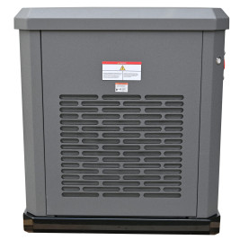 Газовый генератор EVOline GNG 13500 E