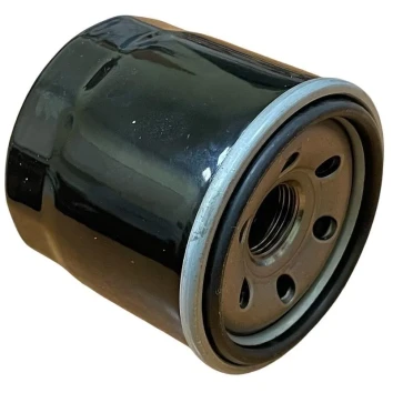 Фильтр масляный CAIMAN