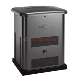 Генератор газовый Briggs &amp; Stratton 8000