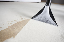 Моющий пылесос Karcher SE 5.100, 1.081-200.0