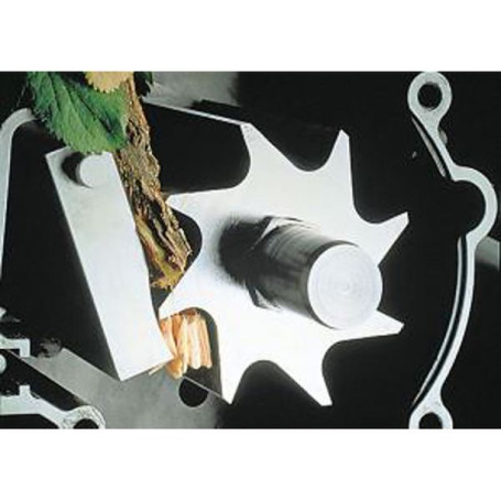 Электрический измельчитель EVOline BSE 2800 C