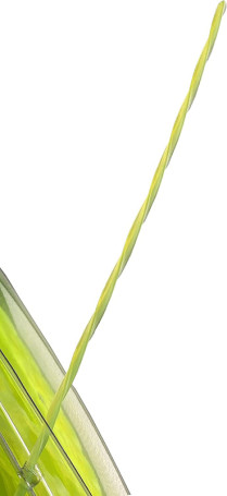 Витая леска для триммера Greenworks 2,4 мм