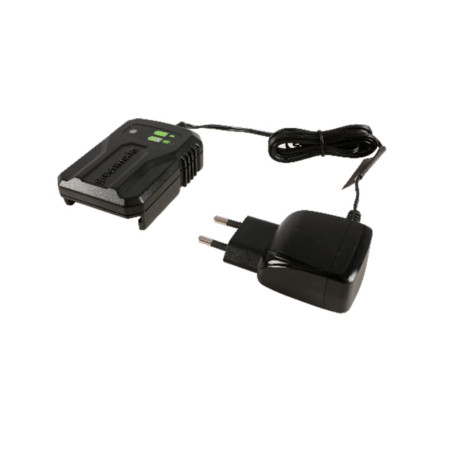 Зарядное устройство Greenworks 24В слайдер