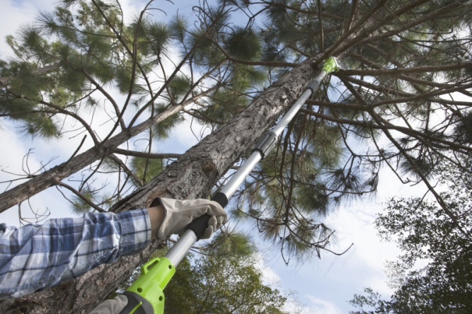 G-MAX 40V Аккумуляторный Высоторез-сучкорез 20 см G40PS20