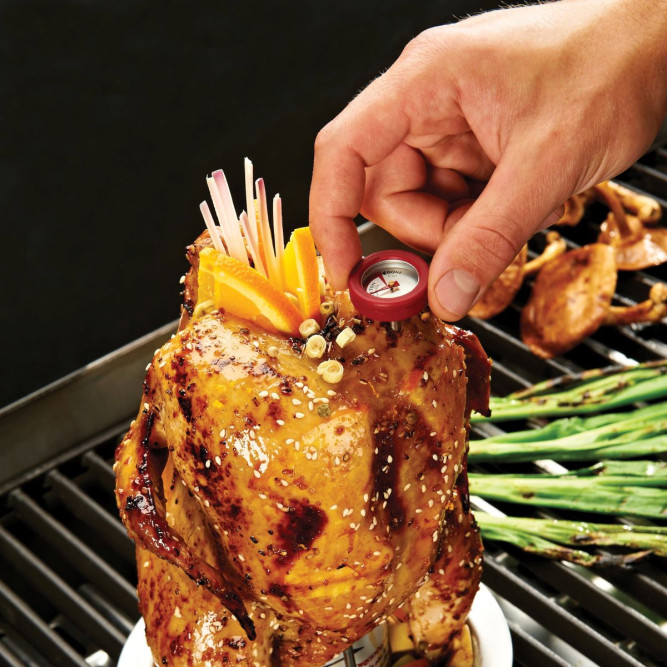 Ростер для курицы с термометром Broil King