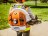 Воздуходувка бензиновая STIHL BR 700 42820111621