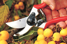 Садовые ножницы Stihl Felco F2