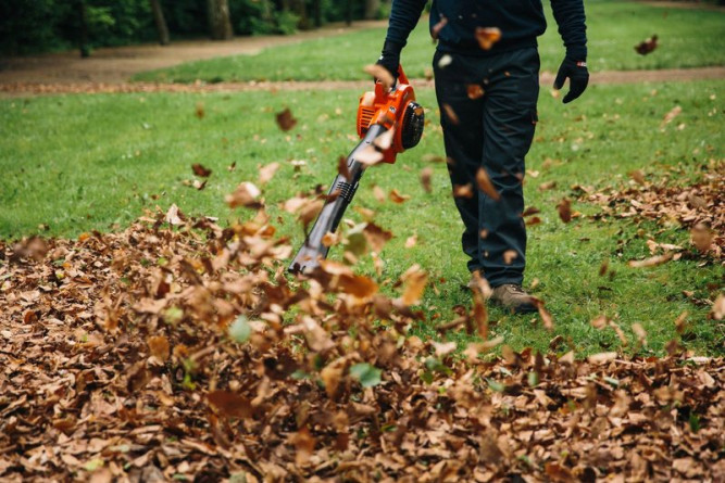 Воздуходувное устройство Echo PB-2155