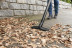 Хозяйственный пылесос Karcher WD 3 P 1.629-880