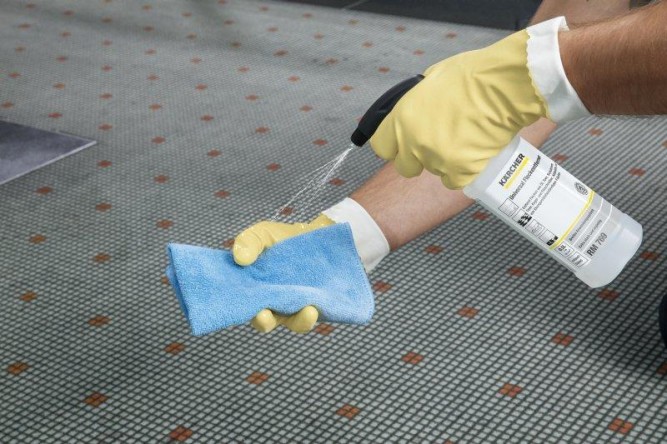 Универсальный пятновыводитель 0,5л для нанесения вручную RM 769 Karcher  6.295-490.0