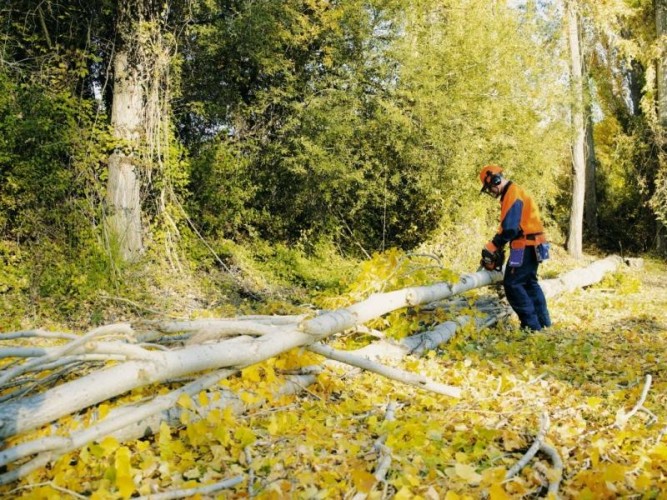 Бензопила Husqvarna 445e II