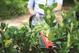 G-24 24V Аккумуляторный Кусторез Deluxe 57 см G24HT57