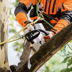 Аккумуляторная цепная пила STIHL MSA 161 T 12&amp;quot; (30см) 1/4&amp;quot;p 65 зв без аккумулятора
