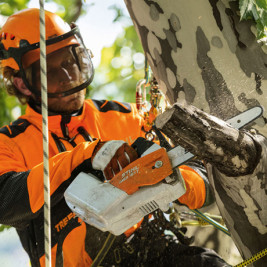 Аккумуляторная цепная пила STIHL MSA 161 T 12" (30см) 1/4"p 65 зв без аккумулятора