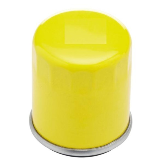 Фильтр масляный BRIGGS &amp; STRATTON 798576