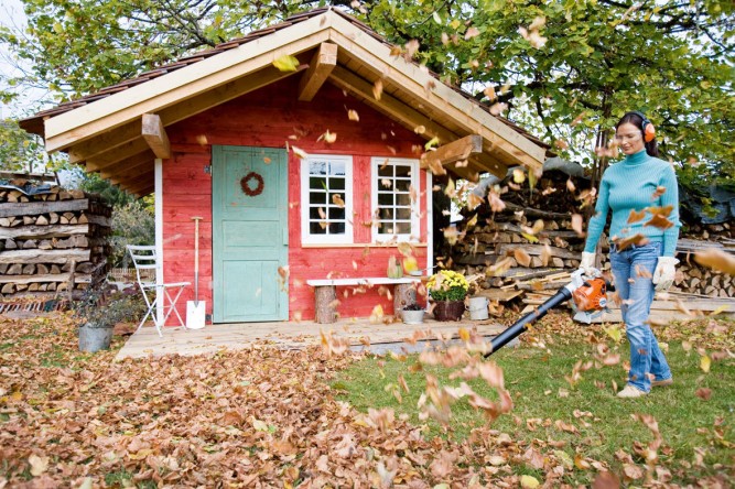 Воздуходувка бензиновая STIHL BG 50 42290111723