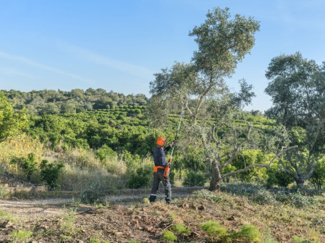 Аккумуляторная цепная пила-высоторез Husqvarna 530iPT5