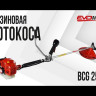 Бензиновая мотокоса EVOline BCG 25 ES