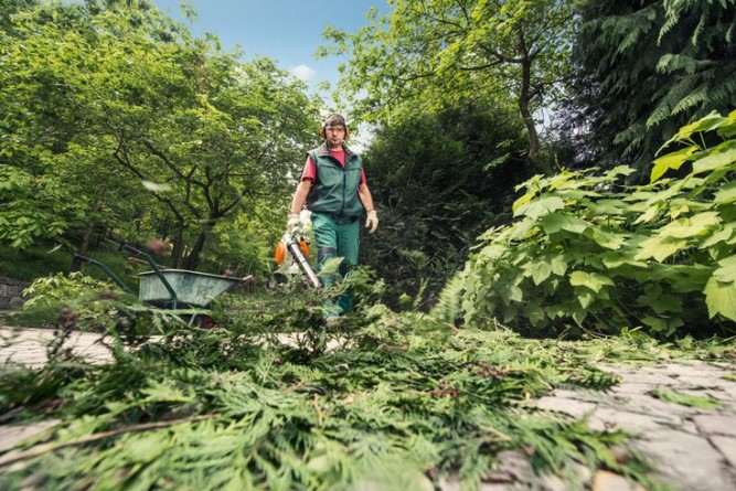 Воздуходувка бензиновая STIHL BG 86 42410111732